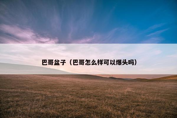 巴哥盆子（巴哥怎么样可以爆头吗）