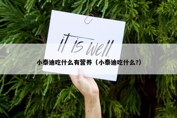 小泰迪吃什么有营养（小泰迪吃什么?）
