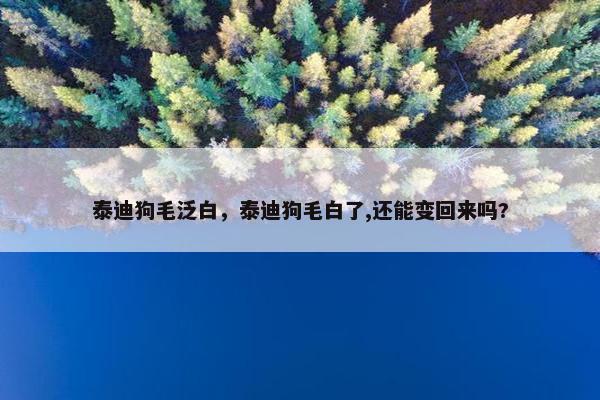 泰迪狗毛泛白，泰迪狗毛白了,还能变回来吗?