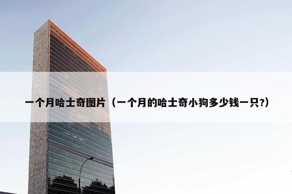 一个月哈士奇图片(一个月的哈士奇小狗多少钱一只?)