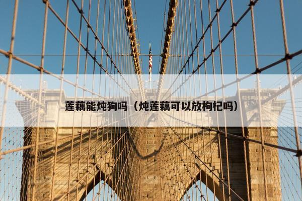 莲藕能炖狗吗（炖莲藕可以放枸杞吗）