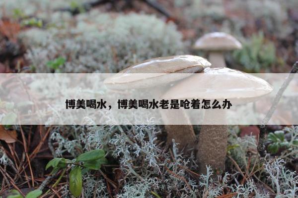 博美喝水，博美喝水老是呛着怎么办