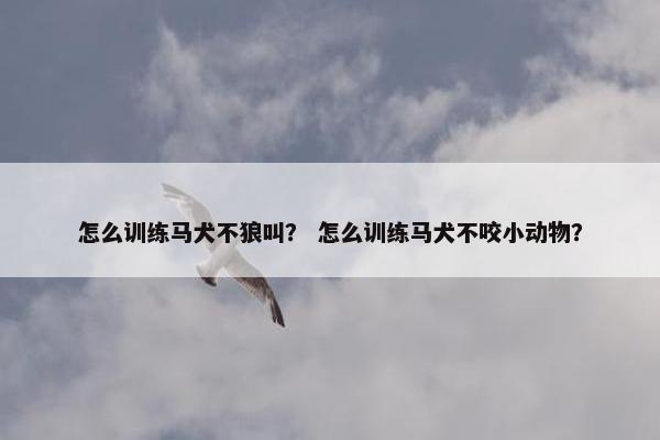 怎么训练马犬不狼叫？ 怎么训练马犬不咬小动物？