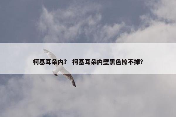 柯基耳朵内? 柯基耳朵内壁黑色擦不掉?