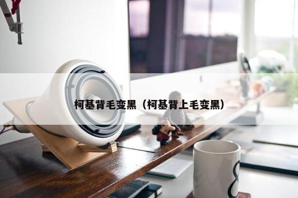 柯基背毛变黑（柯基背上毛变黑）