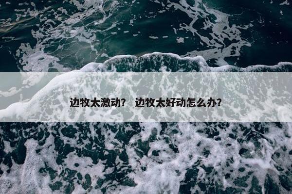 边牧太激动？ 边牧太好动怎么办？