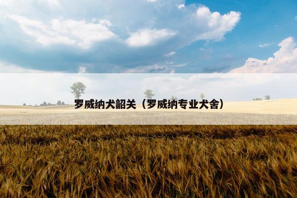 罗威纳犬韶关（罗威纳专业犬舍）