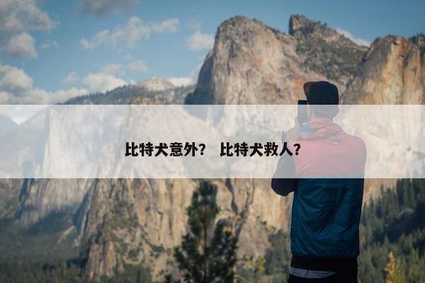 比特犬意外？ 比特犬救人？