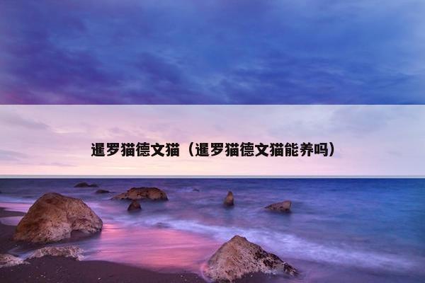 暹罗猫德文猫（暹罗猫德文猫能养吗）