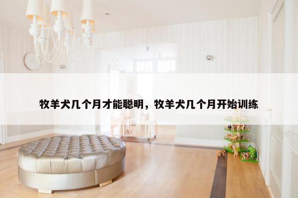 牧羊犬几个月才能聪明,牧羊犬几个月开始训练