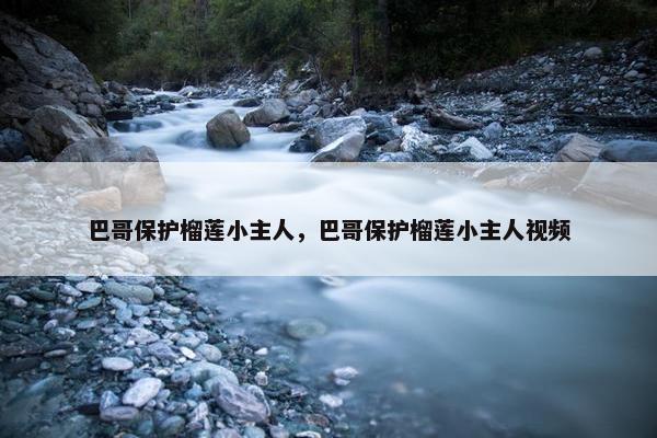 巴哥保护榴莲小主人,巴哥保护榴莲小主人视频
