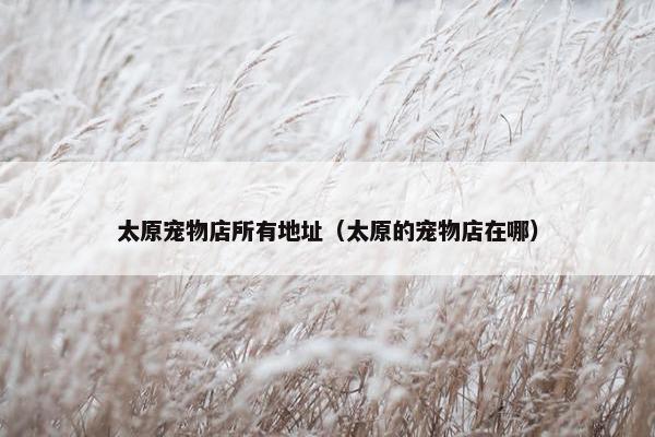 太原宠物店所有地址（太原的宠物店在哪）
