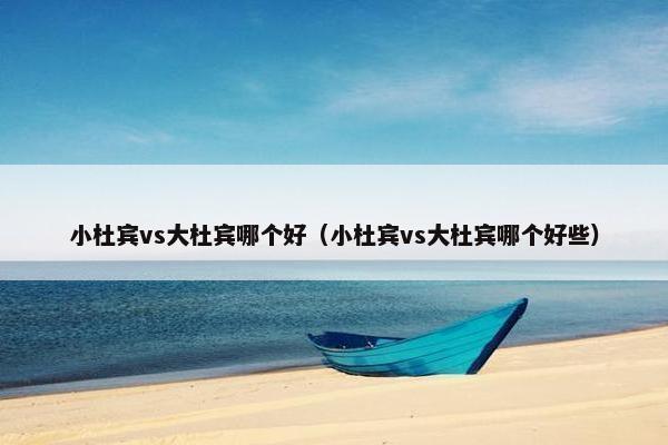 小杜宾vs大杜宾哪个好（小杜宾vs大杜宾哪个好些）