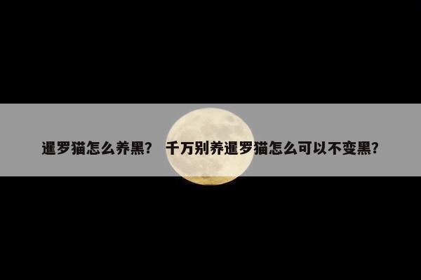 暹罗猫怎么养黑？ 千万别养暹罗猫怎么可以不变黑？
