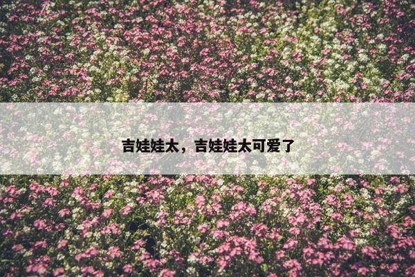 吉娃娃太，吉娃娃太可爱了