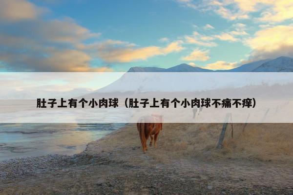 肚子上有个小肉球(肚子上有个小肉球不痛不痒)