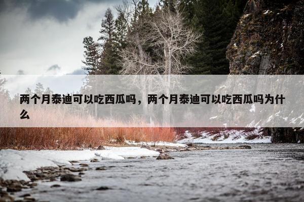 两个月泰迪可以吃西瓜吗，两个月泰迪可以吃西瓜吗为什么