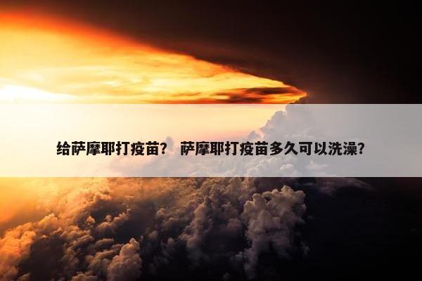 给萨摩耶打疫苗? 萨摩耶打疫苗多久可以洗澡?