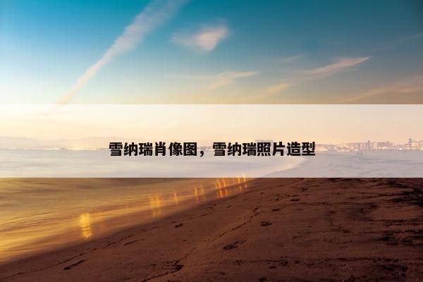 雪纳瑞肖像图,雪纳瑞照片造型