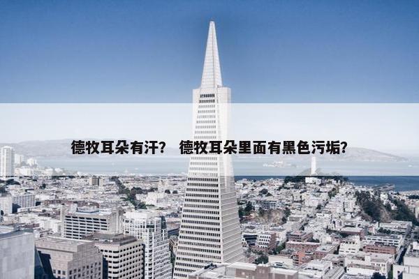 德牧耳朵有汗？ 德牧耳朵里面有黑色污垢？