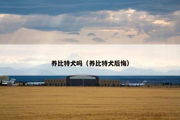 养比特犬吗（养比特犬后悔）