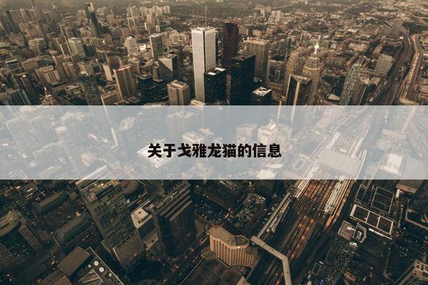 关于戈雅龙猫的信息