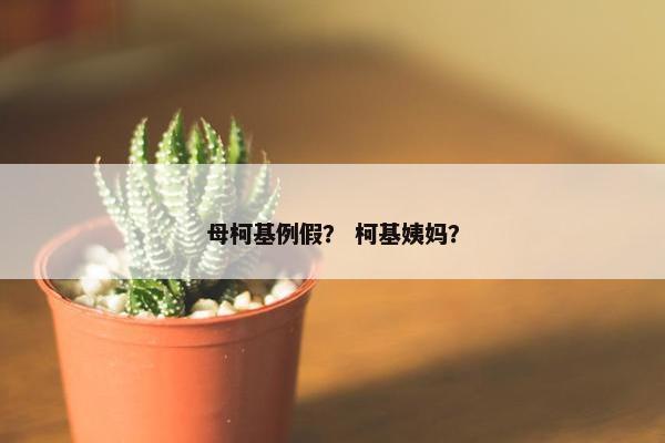 母柯基例假？ 柯基姨妈？