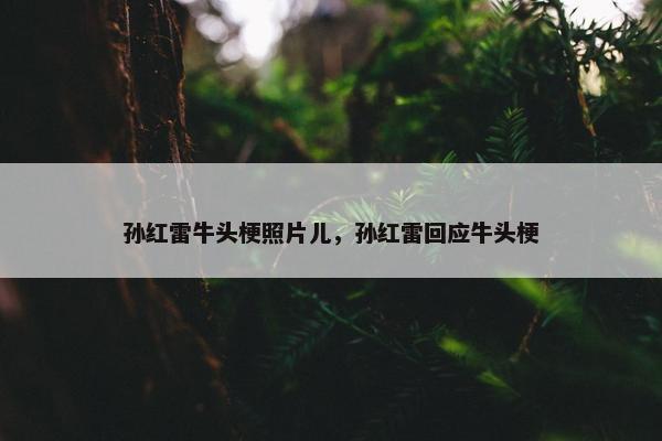 孙红雷牛头梗照片儿，孙红雷回应牛头梗