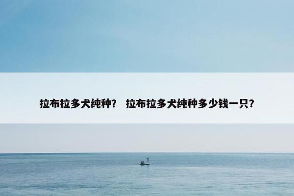 拉布拉多犬纯种? 拉布拉多犬纯种多少钱一只?