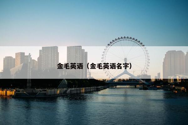 金毛英语(金毛英语名字)