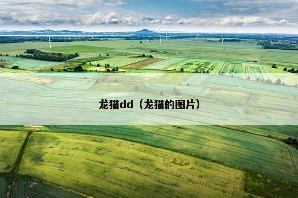 龙猫dd(龙猫的图片)