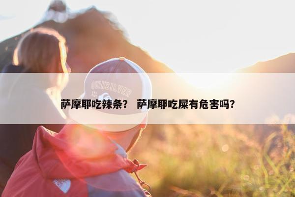 萨摩耶吃辣条? 萨摩耶吃屎有危害吗?