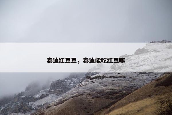 泰迪红豆豆,泰迪能吃红豆嘛
