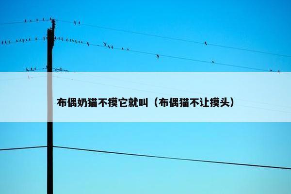 布偶奶猫不摸它就叫(布偶猫不让摸头)