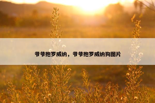 爷爷抱罗威纳，爷爷抱罗威纳狗图片