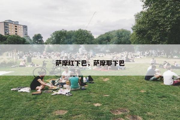 萨摩红下巴，萨摩耶下巴