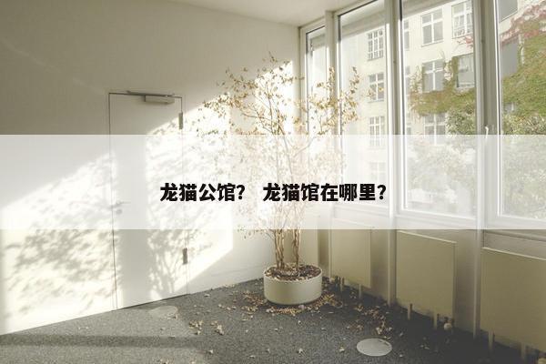 龙猫公馆？ 龙猫馆在哪里？