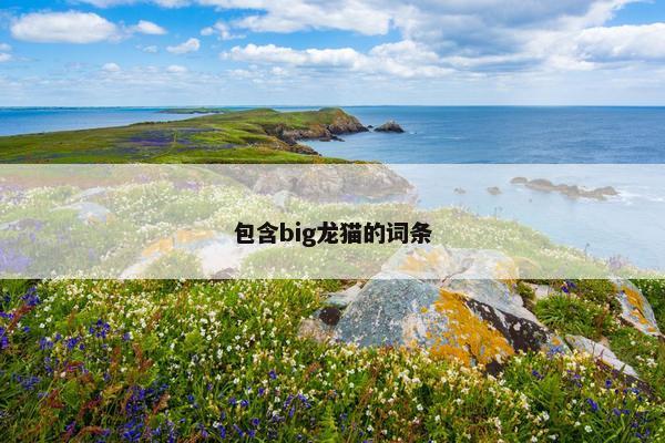 包含big龙猫的词条
