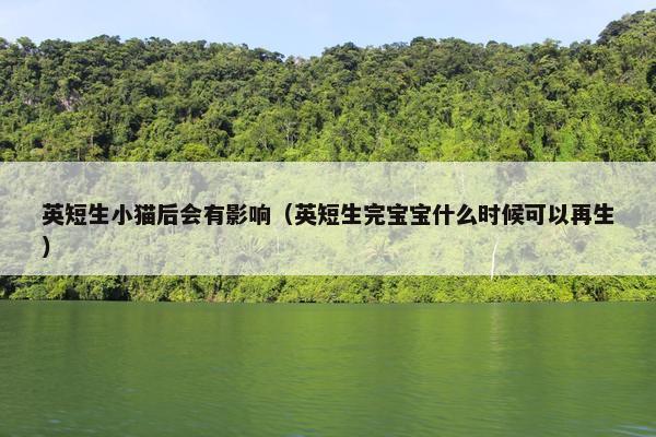 英短生小猫后会有影响(英短生完宝宝什么时候可以再生)