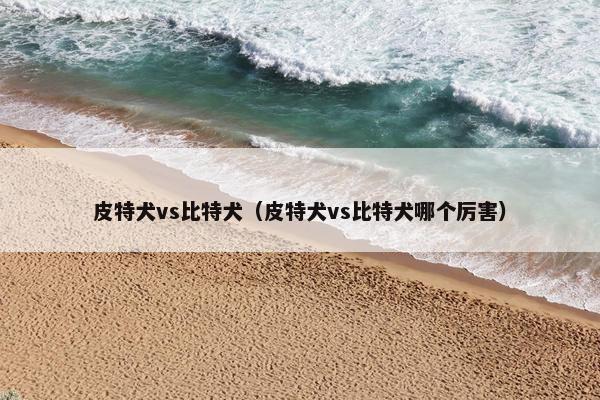 皮特犬vs比特犬（皮特犬vs比特犬哪个厉害）