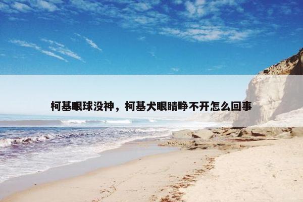 柯基眼球没神，柯基犬眼睛睁不开怎么回事