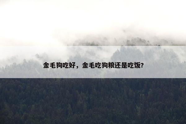 金毛狗吃好，金毛吃狗粮还是吃饭?
