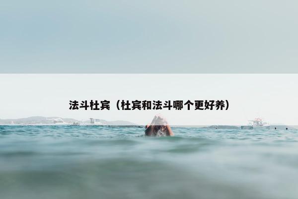 法斗杜宾(杜宾和法斗哪个更好养)
