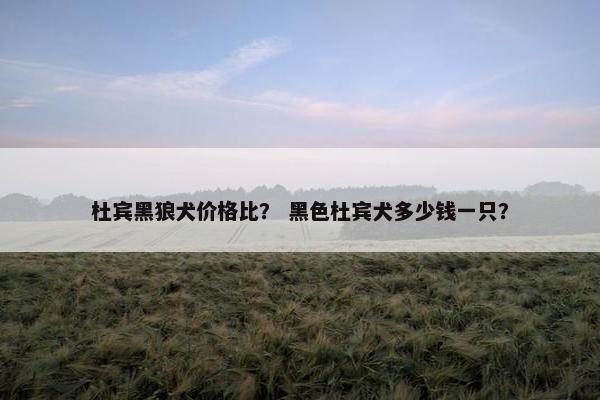 杜宾黑狼犬价格比？ 黑色杜宾犬多少钱一只？