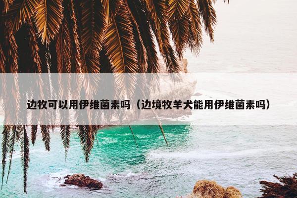 边牧可以用伊维菌素吗(边境牧羊犬能用伊维菌素吗)