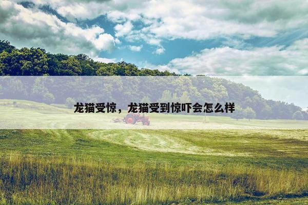龙猫受惊,龙猫受到惊吓会怎么样