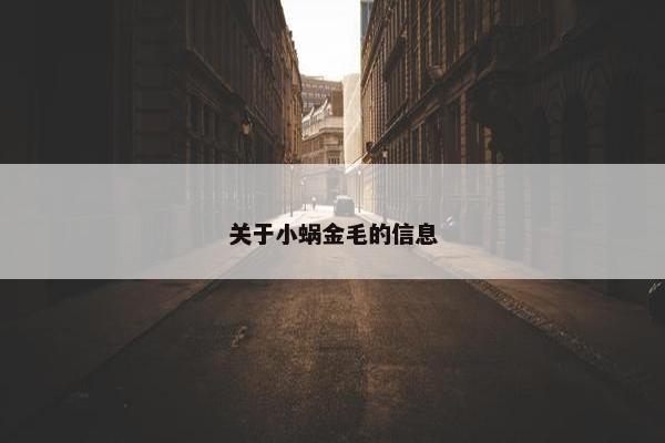 关于小蜗金毛的信息