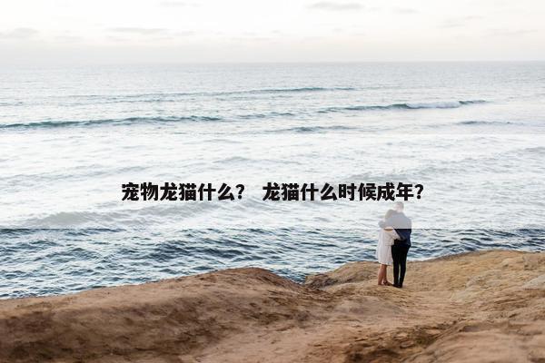 宠物龙猫什么？ 龙猫什么时候成年？