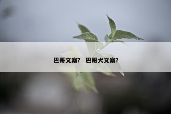 巴哥文案？ 巴哥犬文案？