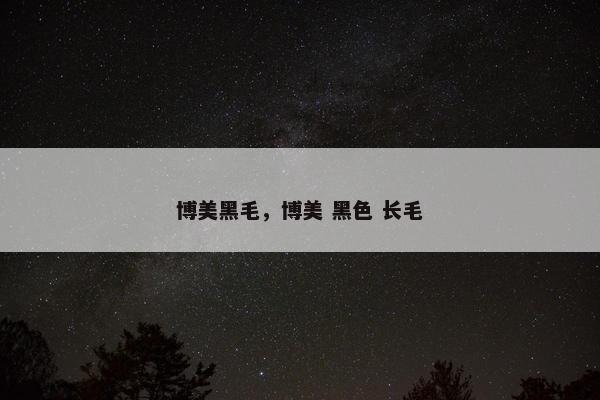 博美黑毛,博美 黑色 长毛